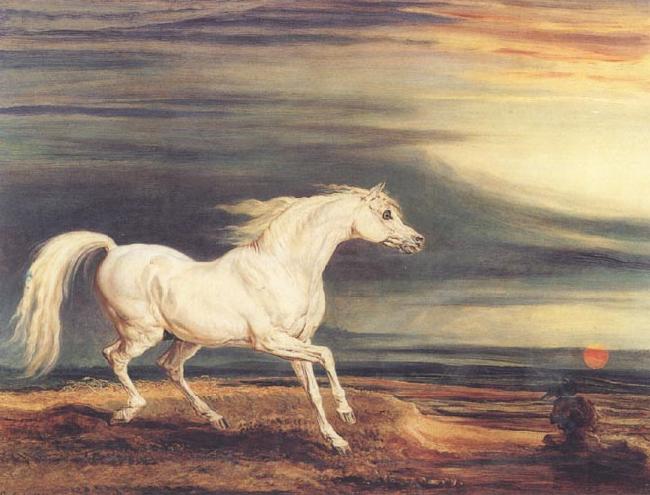 James Ward Napoleon's Horse,Marengo at Waterloo Germany oil painting art